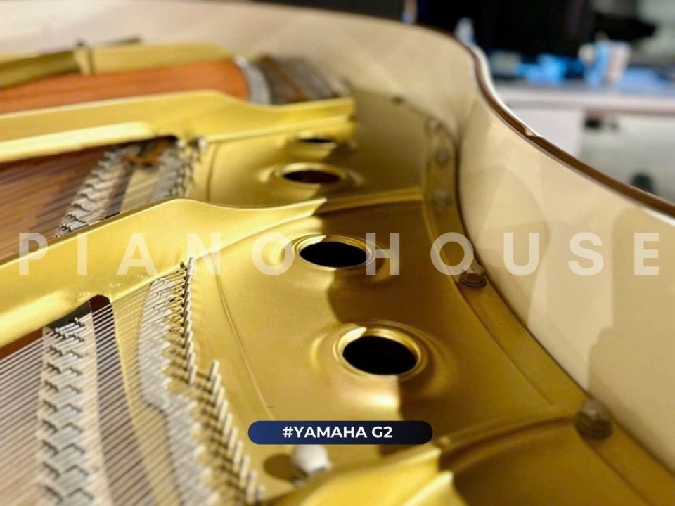 YAMAHA G2 WH - Ảnh thực tế 8